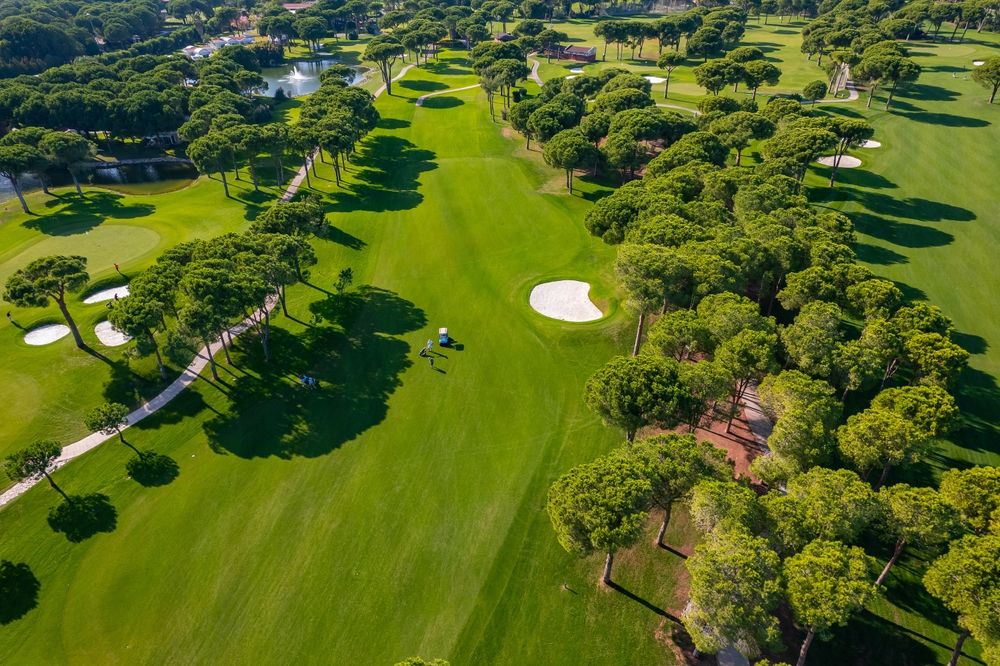 15 Top Hotels in San Antonio near the Dominion