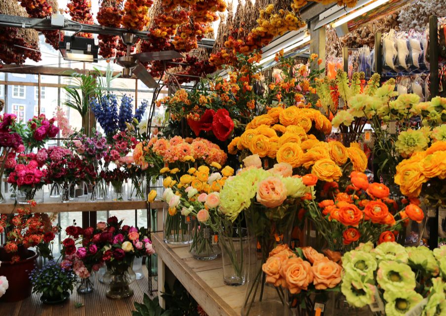 15 Best Hotels in Amsterdam near Flower Market