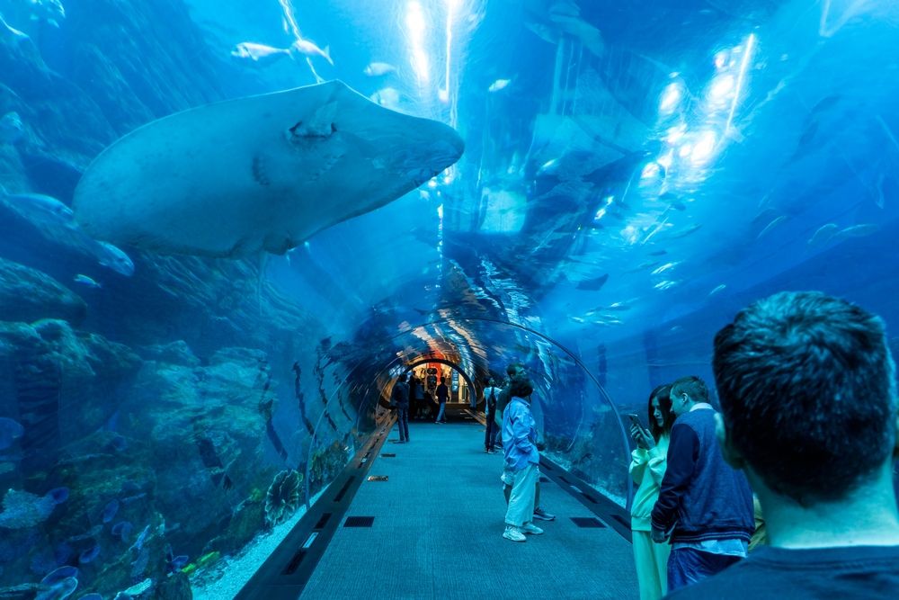 13 Top Hotels near Dubai Aquarium