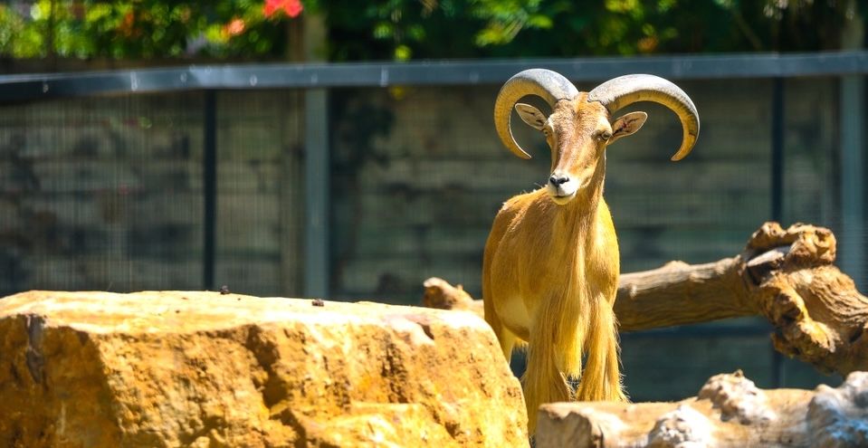 15 Top Hotels near Barcelona Zoo