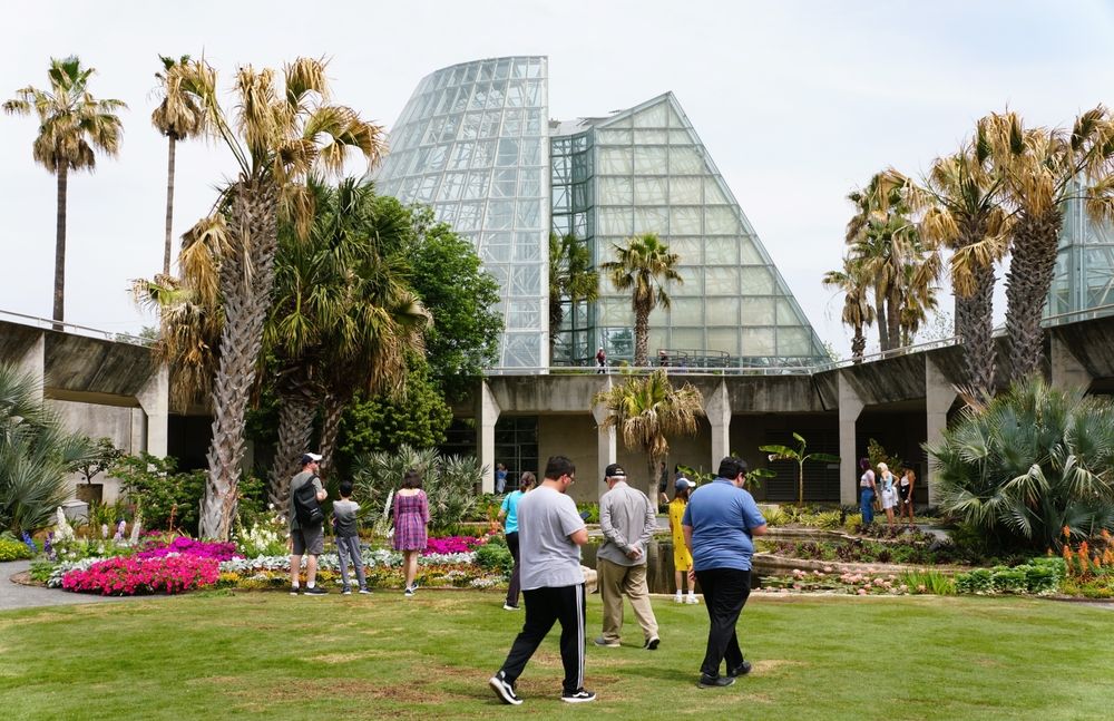 15 Best Hotels near San Antonio Botanical Garden
