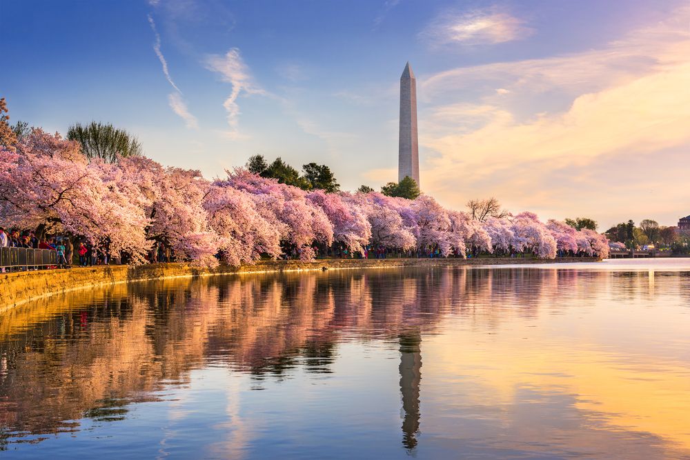 Find the best hotels near your favorite destinations Image