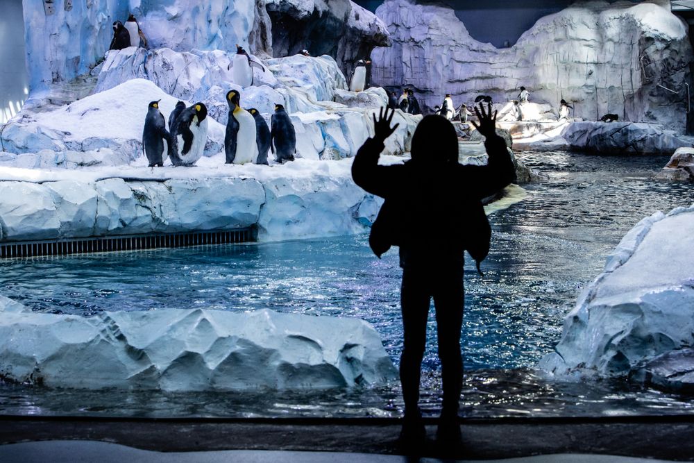 14 Top Hotels near Detroit Zoo