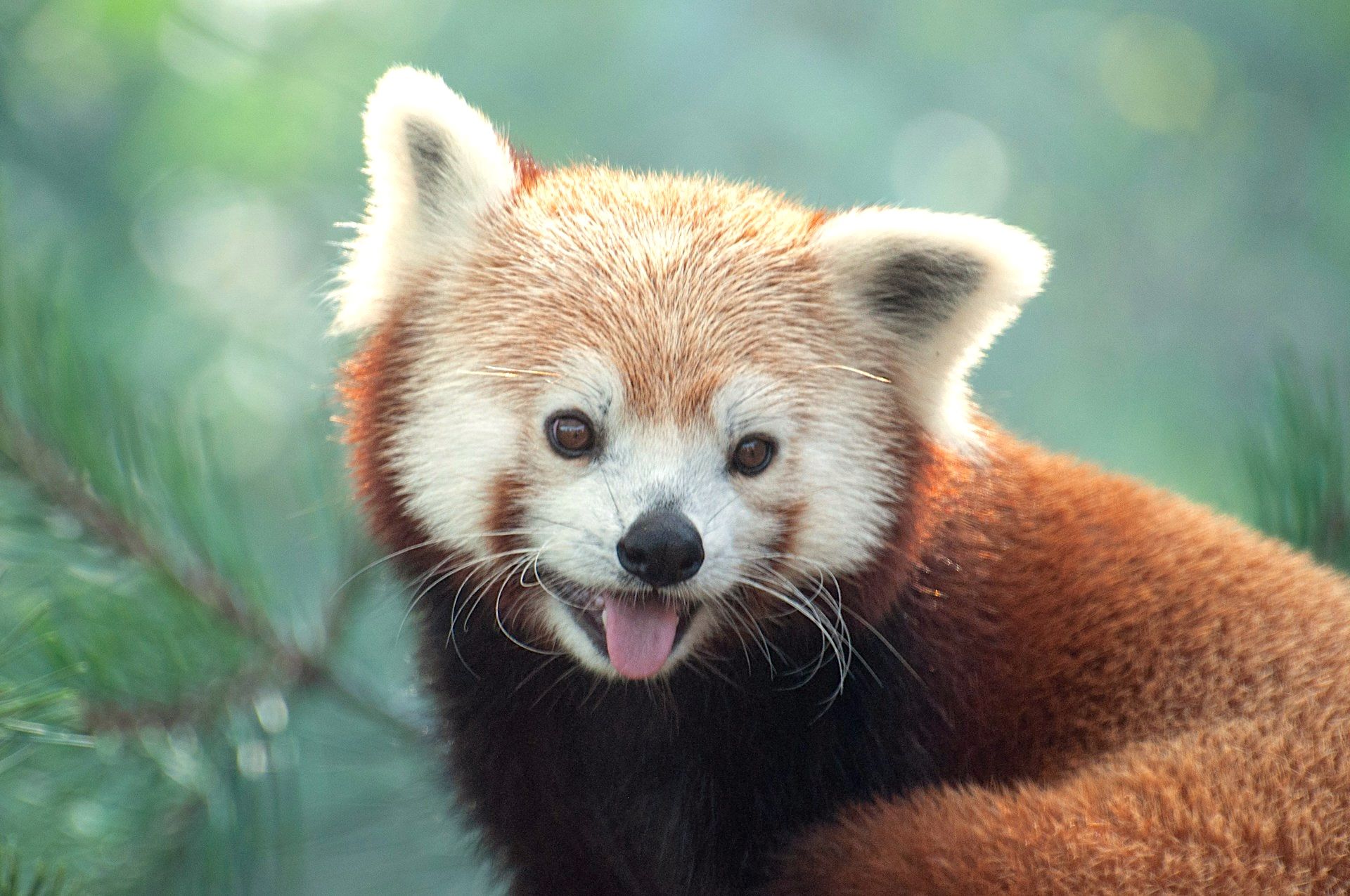 12 Top Hotels near Cleveland Zoo
