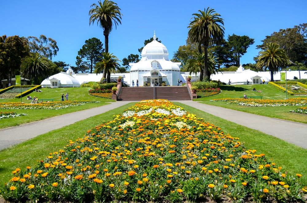 15 Best Hotels near Conservatory of Flowers San Francisco