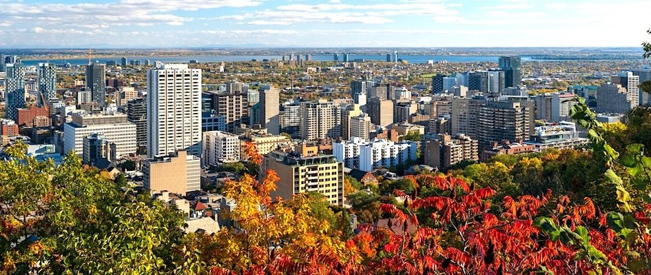 15 Top Hotels near Downtown Montreal