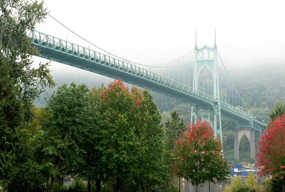 11 Best Hotels in Portland near Cathedral Park