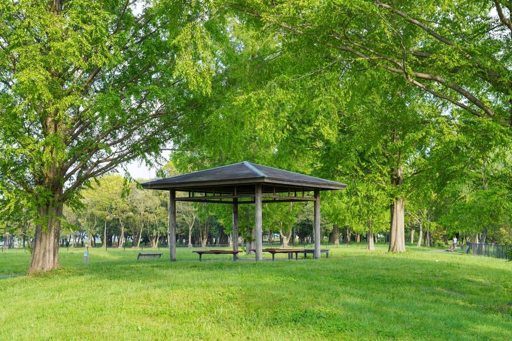 13 Top Hotels in Sacramento near Granite Regional Park