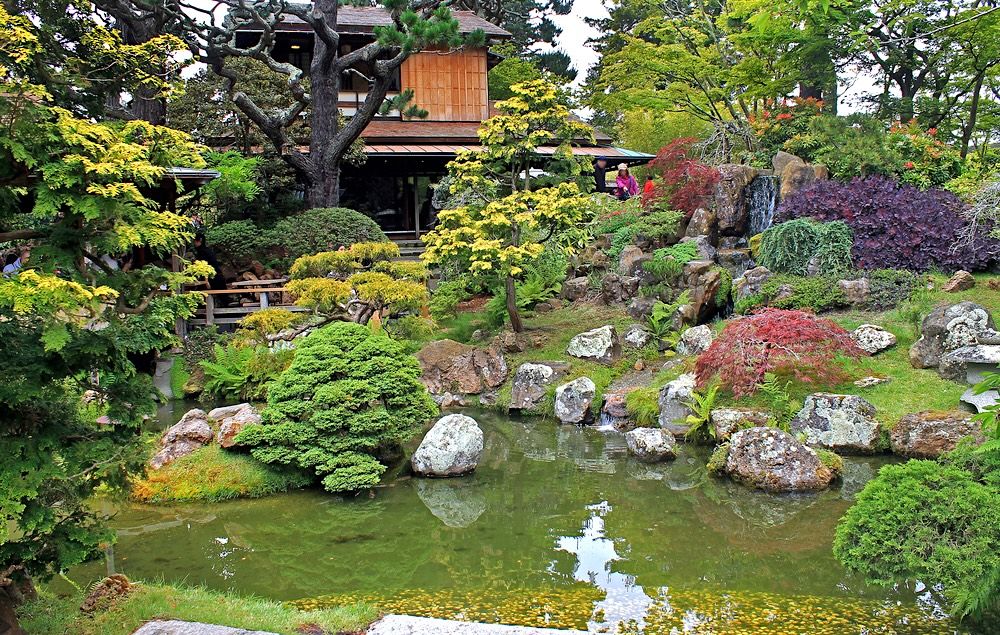 10 Top Hotels near Golden Gate Park San Francisco