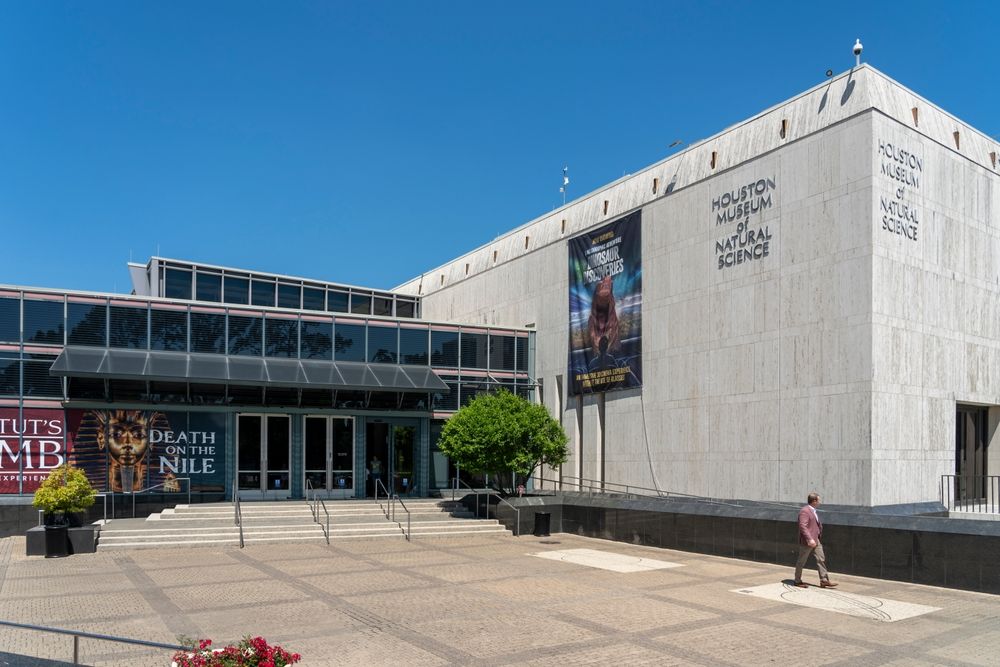 15 Best Hotels near Houston Museum of Natural Science