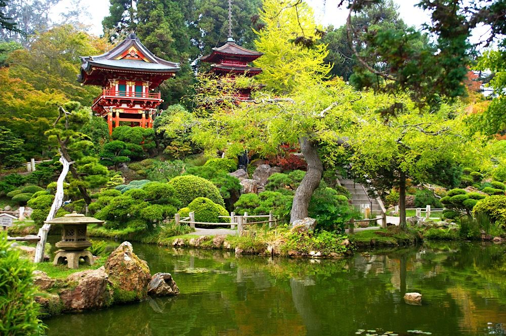 15 Best Hotels near Japanese Tea Garden San Francisco