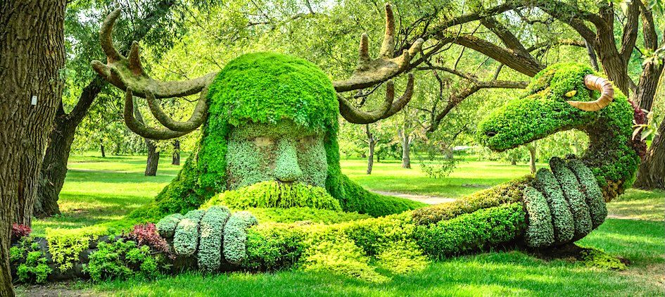 15 Top Hotels near Montreal Botanical Gardens