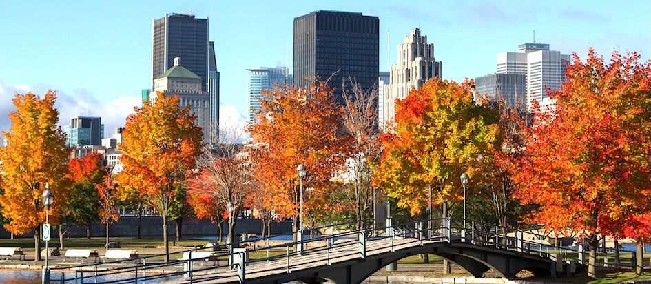 15 Best Hotels in Montreal near Théâtre du Nouveau Monde