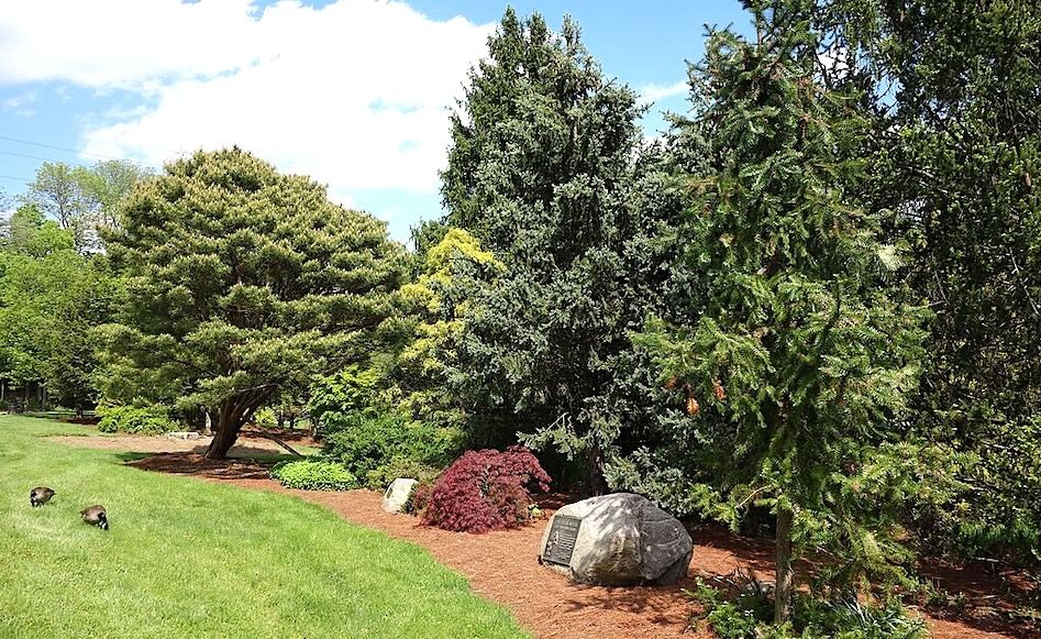 10 Top Hotels in Cincinnati near Mount Airy Forest