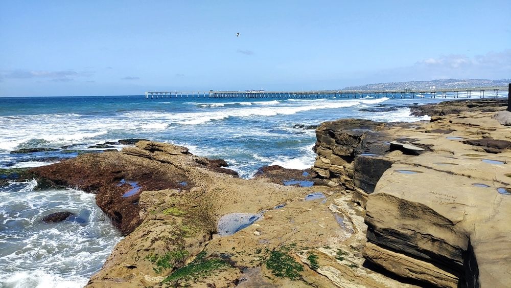 15 Best Hotels in Ocean Beach San Diego