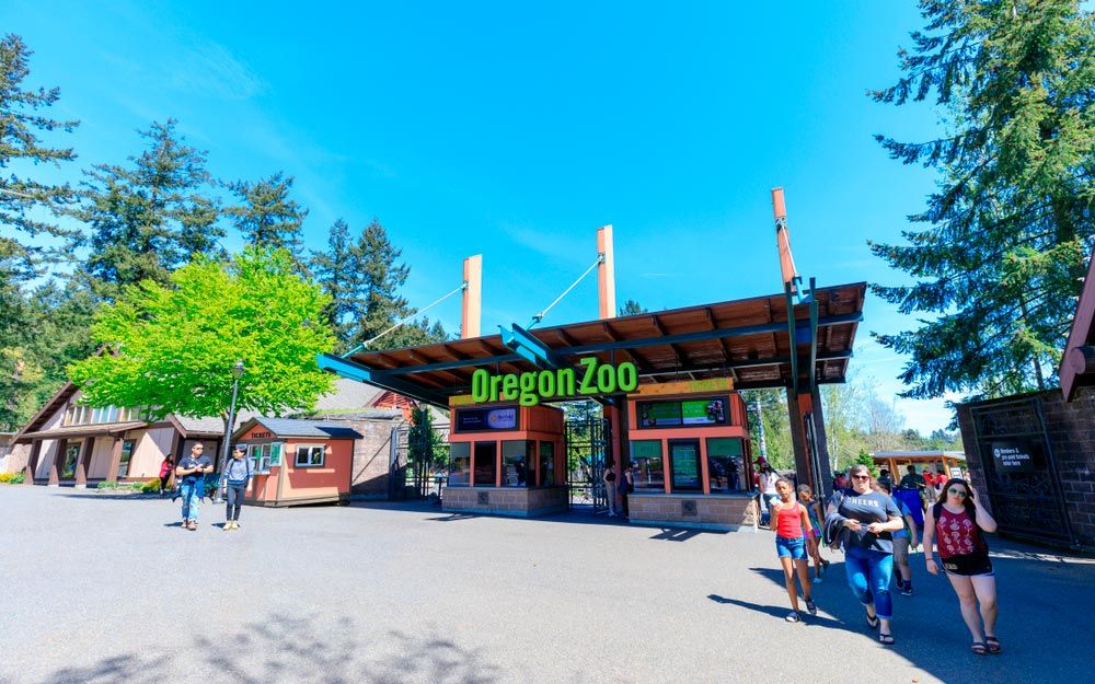15 Best Hotels in Portland near Oregon Zoo
