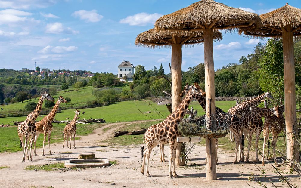 Find the best hotels near your favorite destinations Image