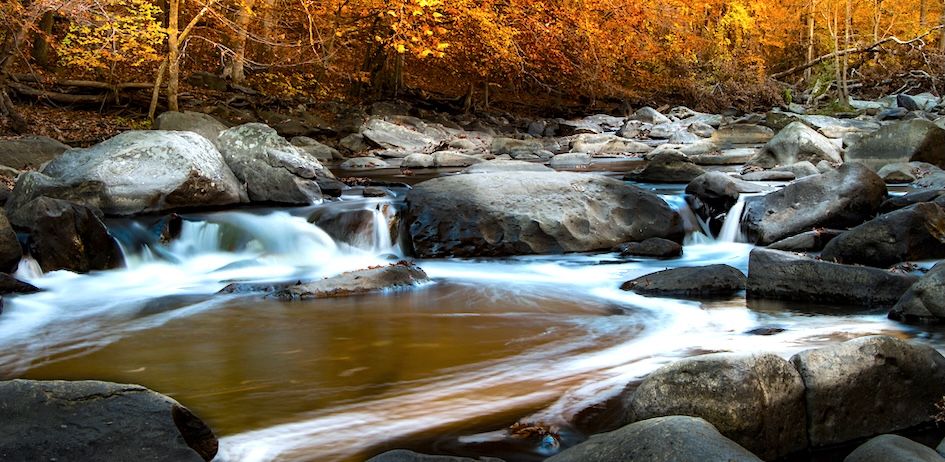 11 Top Hotels in Washington DC near Rock Creek Park