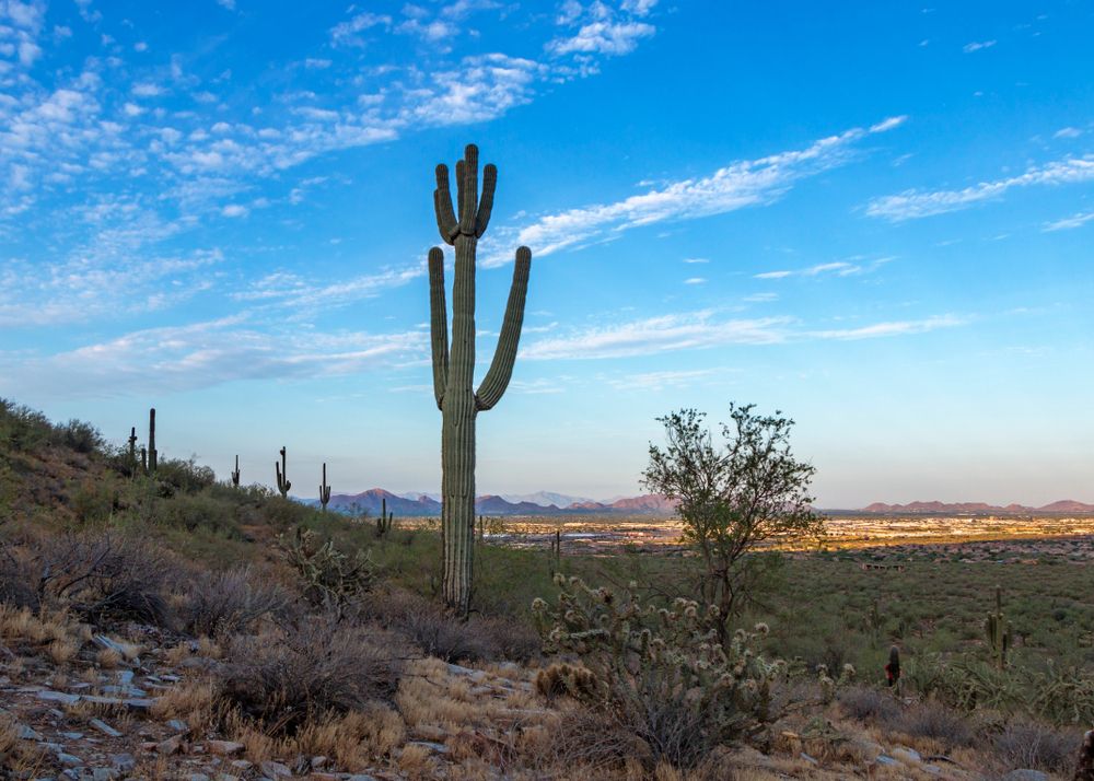 7 Best Hotels in Phoenix near North Gateway