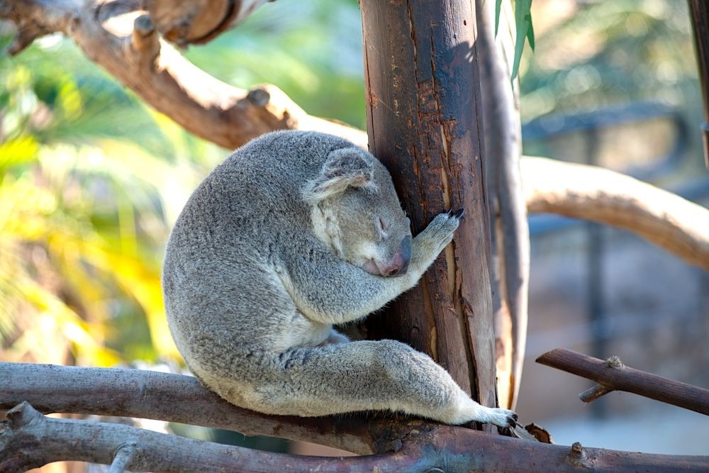 13 Best Hotels near San Diego Zoo with Breakfast