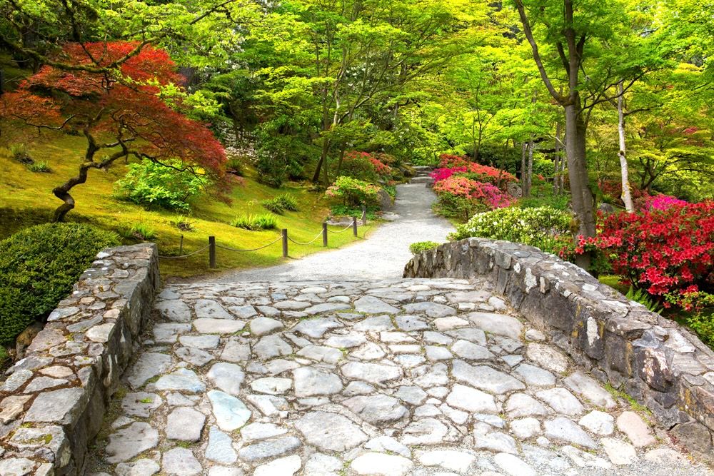 15 Best Hotels near Seattle Japanese Garden