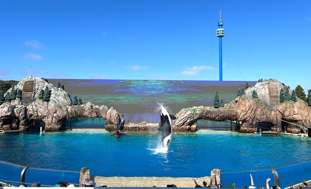 15 Best Hotels near Seaworld San Diego