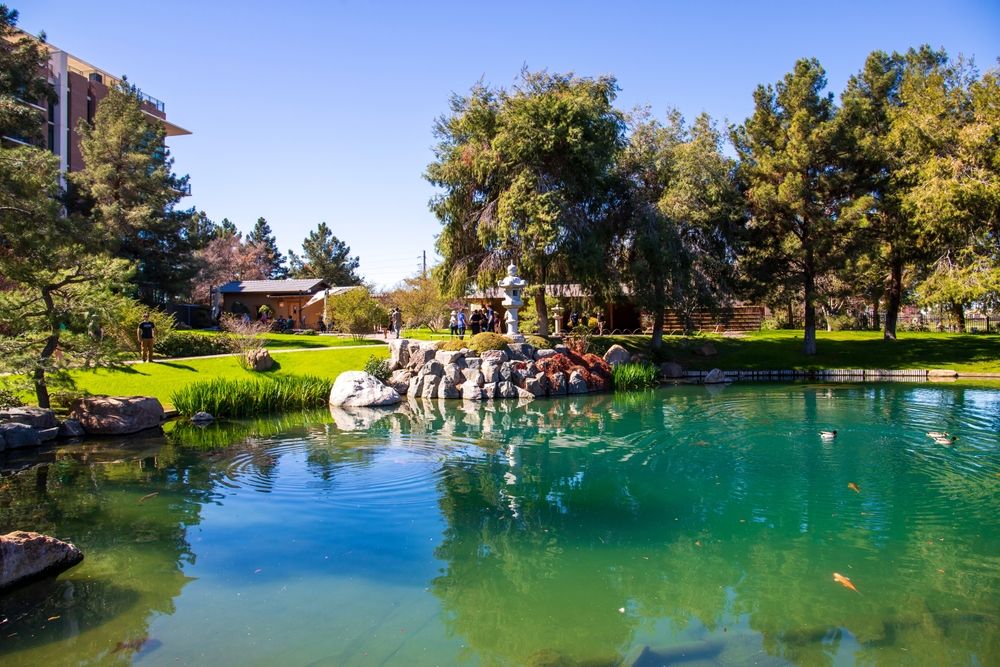 15 Top Hotels in Phoenix near Japanese Friendship Garden