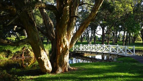 15 Best Hotels in Sydney near Centennial Park