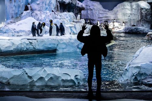 14 Top Hotels near Detroit Zoo