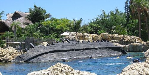 15 Best Hotels in Orlando near Discovery Cove