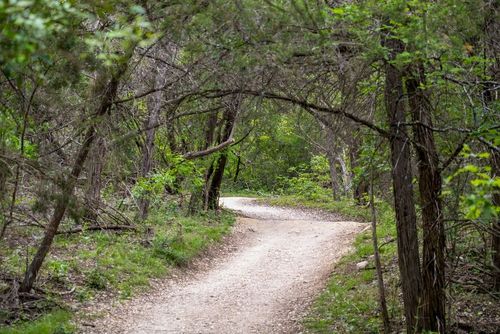 13 Top Hotels in San Antonio near Friedrich Wilderness Park