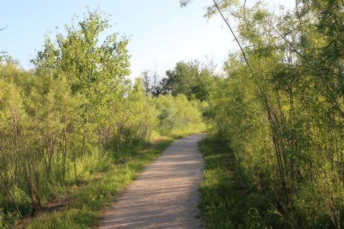 5 Best Hotels in Winnipeg near Transcona