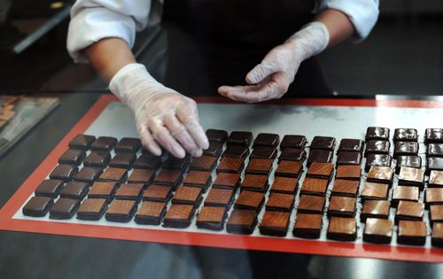 9 Top Hotels in Jacksonville near Peterbrooke Chocolatier