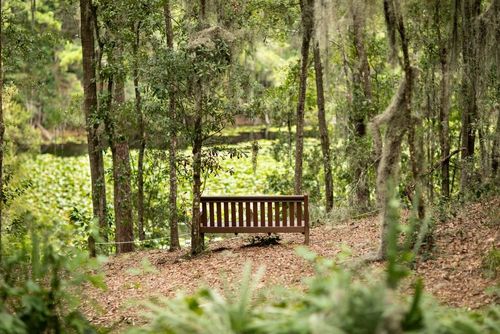 14 Best Hotels near Jacksonville Arboretum and Gardens