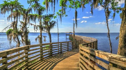 6 Top Hotels in Jacksonville near Mandarin