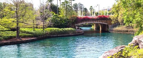 15 Best Hotels in Orlando near Thornton Park