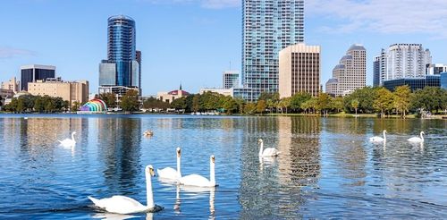 15 Best Hotels in Orlando near Lake Bryan