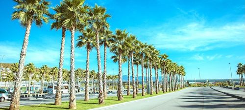 15 Best Hotels in Orlando near Silver Star Road