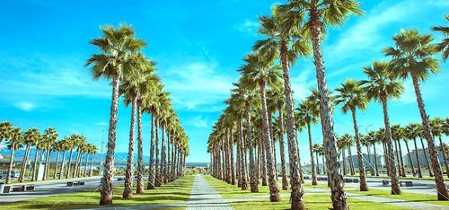 15 Best Hotels in Orlando near Vineland Avenue