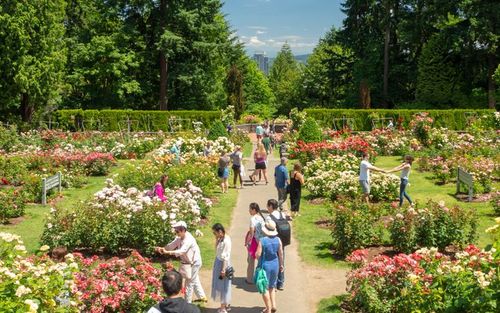 15 Top Hotels in Portland near Rose Garden