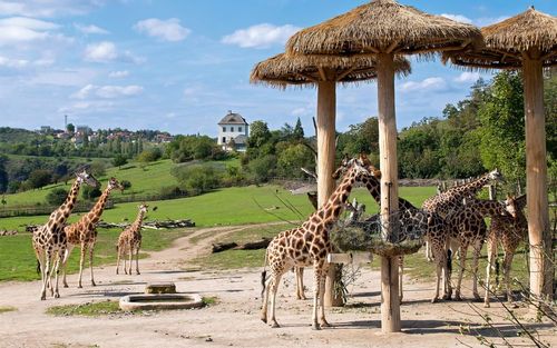 15 Top Hotels near Prague Zoo