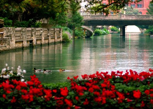 15 Best Hotels near San Antonio River