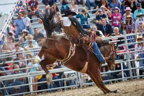 15 Best Hotels near San Antonio Stock Show & Rodeo