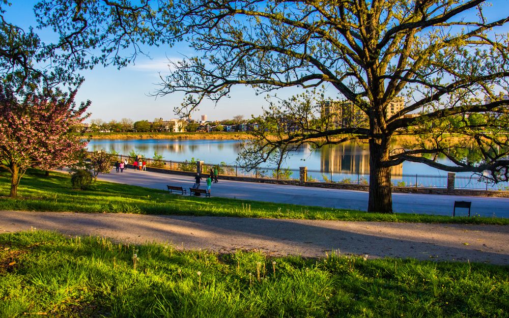 15 Top Hotels in Baltimore near Druid Hill Park