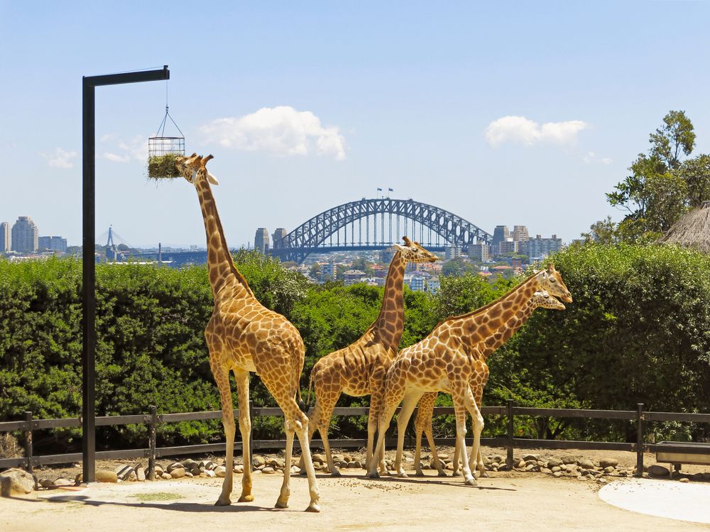 Find the best hotels near your favorite destinations Image