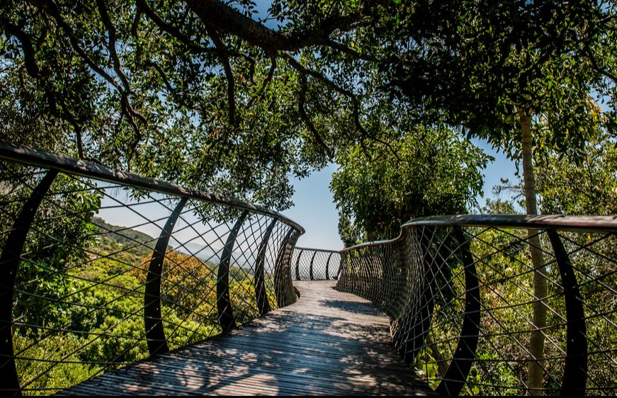 11 Best Hotels in San Antonio near Hardberger Park