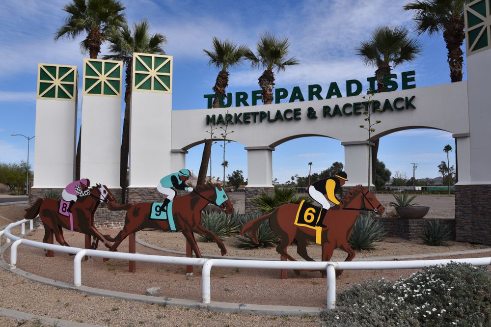 11 Top Hotels in Phoenix near Turf Paradise