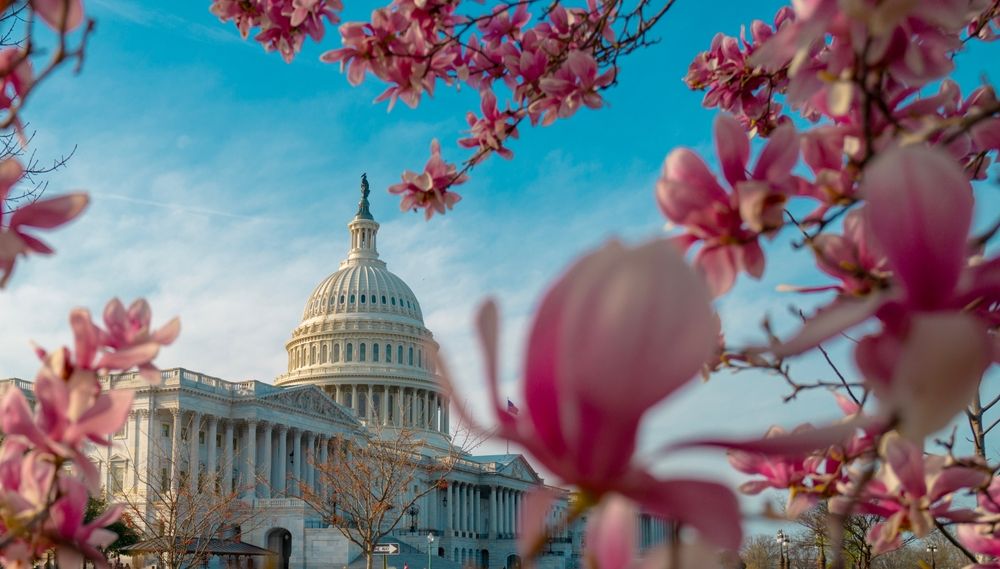 Washington DC