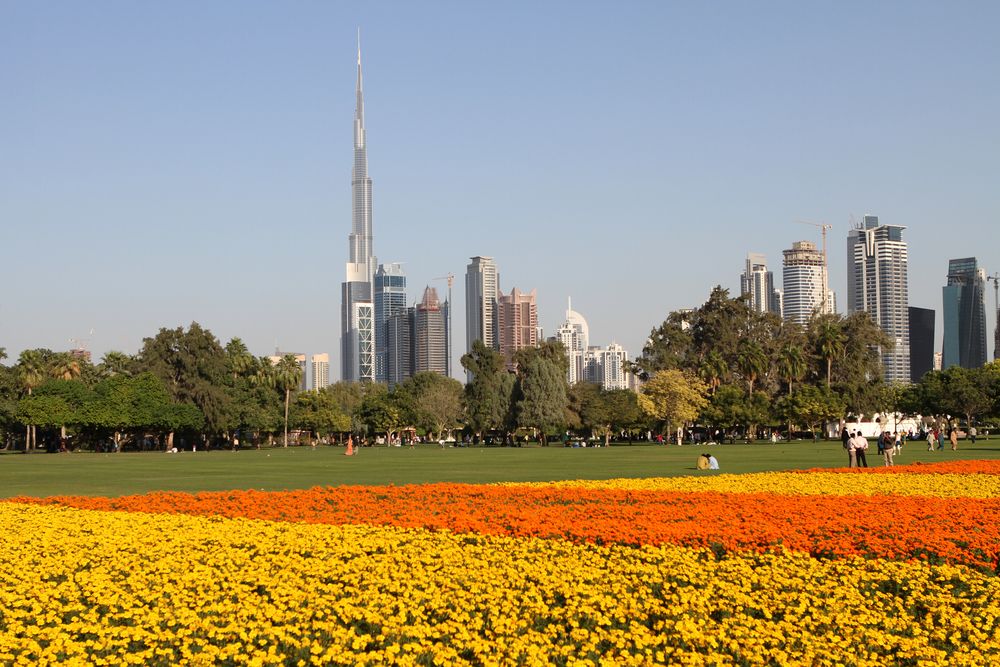 15 Top Hotels near Safa Park Dubai
